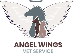 angel wings logo